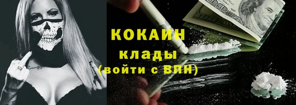 spice Алзамай