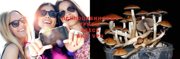 spice Алзамай