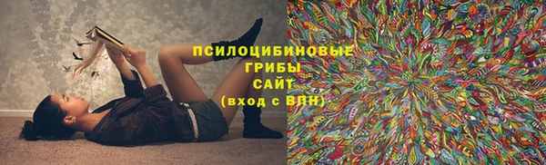 дмт Алексин