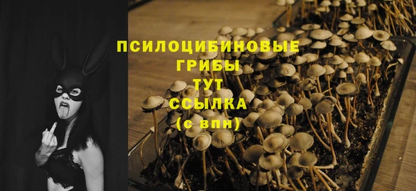 spice Алзамай