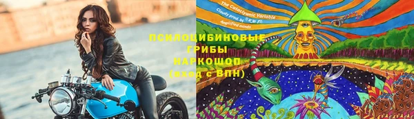 дмт Алексин