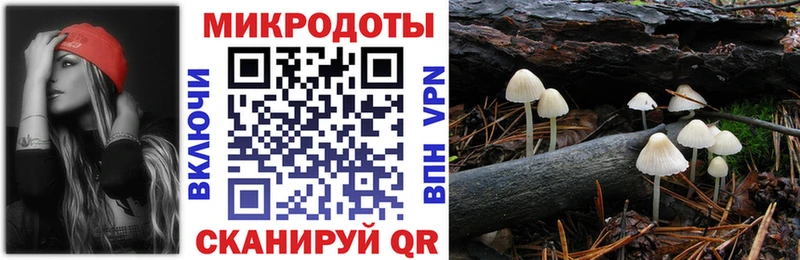 ссылка на мегу tor  Крымск  Галлюциногенные грибы MAGIC MUSHROOMS 